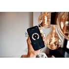 CALEX 429160 Smart XXL Organic EVO Lamp 6W E27 Arany Dimmelehető (Applikációval)