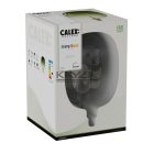 CALEX 426266 Avesta Lamp Bulb 5W E27 Vert Dimmelhető