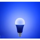 Lutec LED Fényforrás 2DB - Ajándék Távvezérlővel A60 E27 8731002316